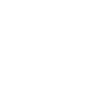 Swools icoon light op navy